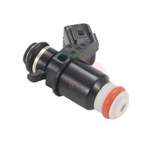 Fuel injector for - fuel,